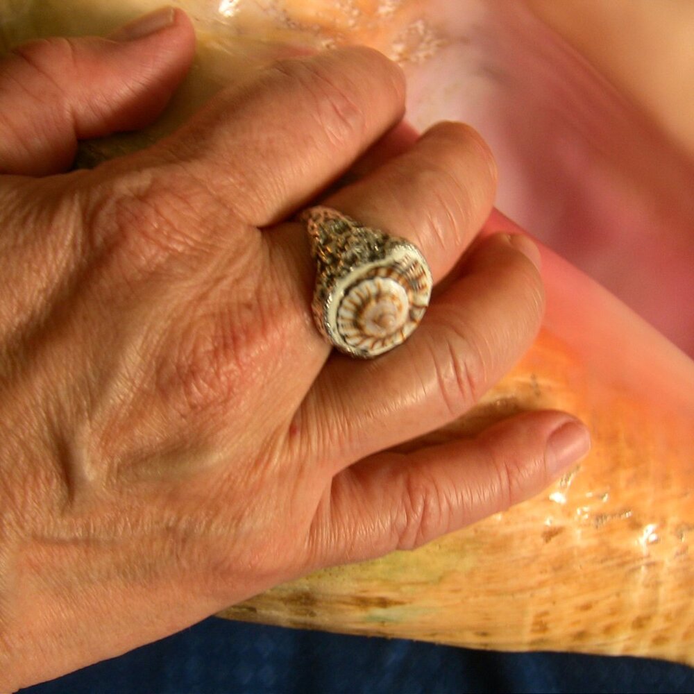 Whelk conch ring on 9999 pure silver